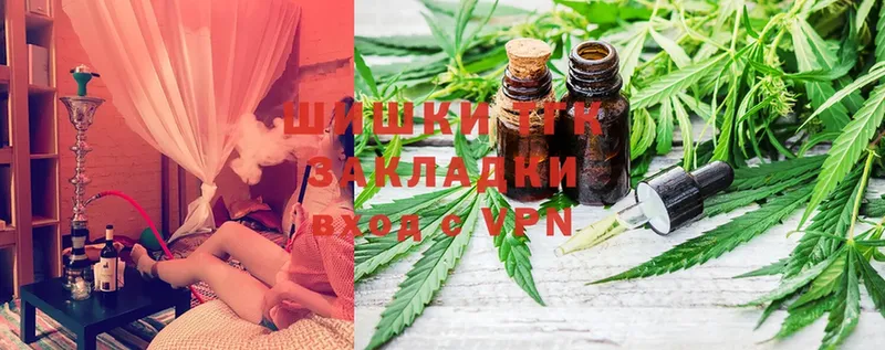 Бошки марихуана OG Kush  наркота  Орлов 